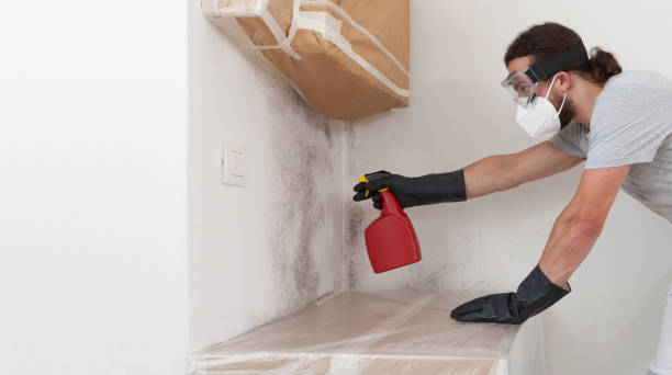 Professional Bathroom Mold Removal technician working in Lake Zurich, IL