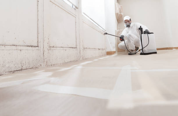 24/7 Emergency Bathroom Mold Removal experts in Lake Zurich, IL